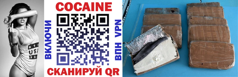 Купить где  Вилючинск  КОКАИН FishScale 