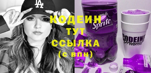 дмт Болотное
