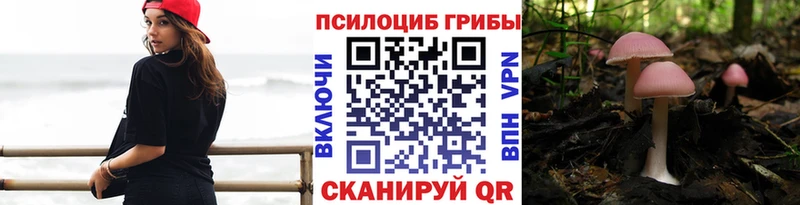 Галлюциногенные грибы мицелий  Купить где  Вилючинск 
